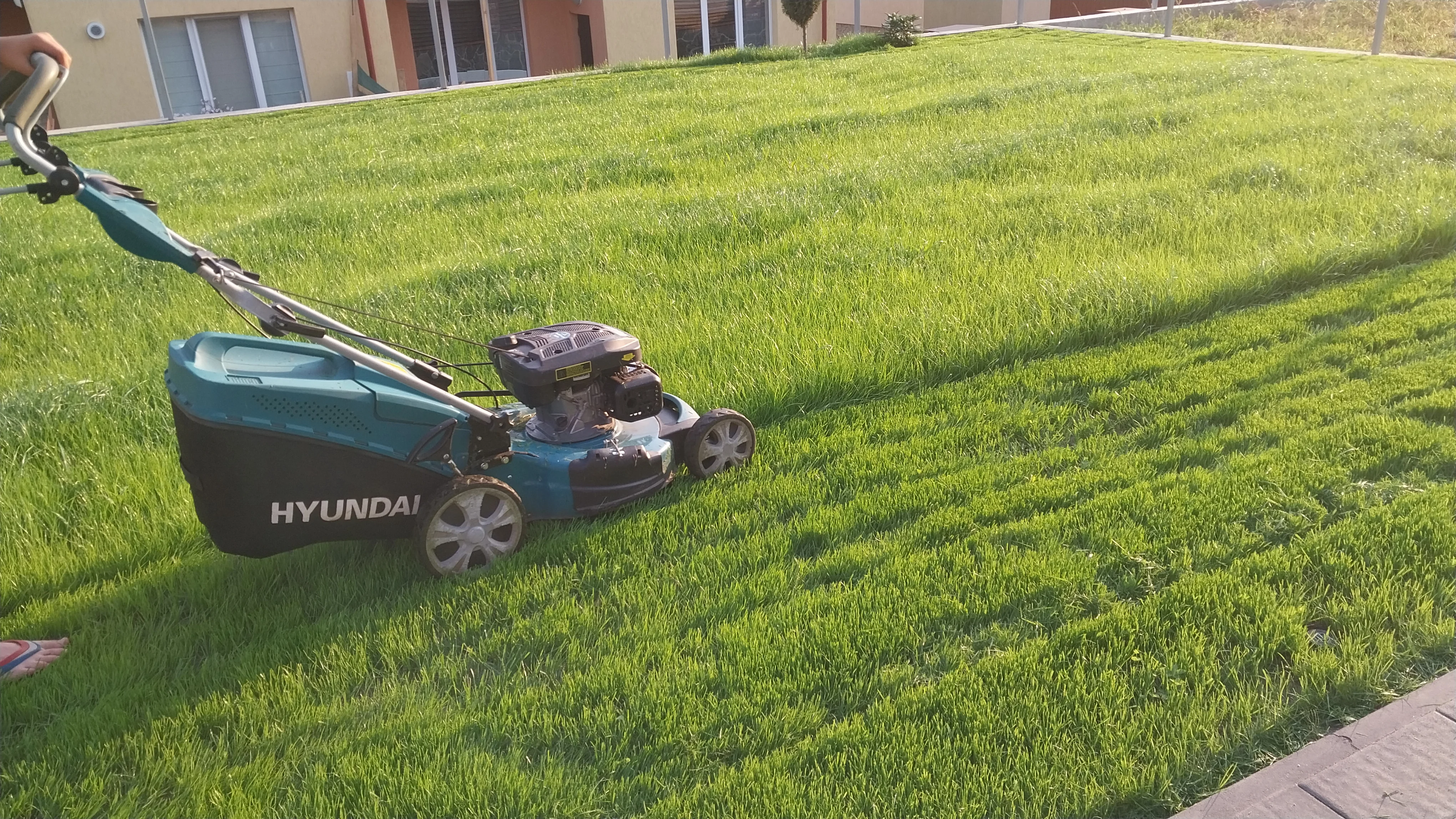 Догляд за газоном