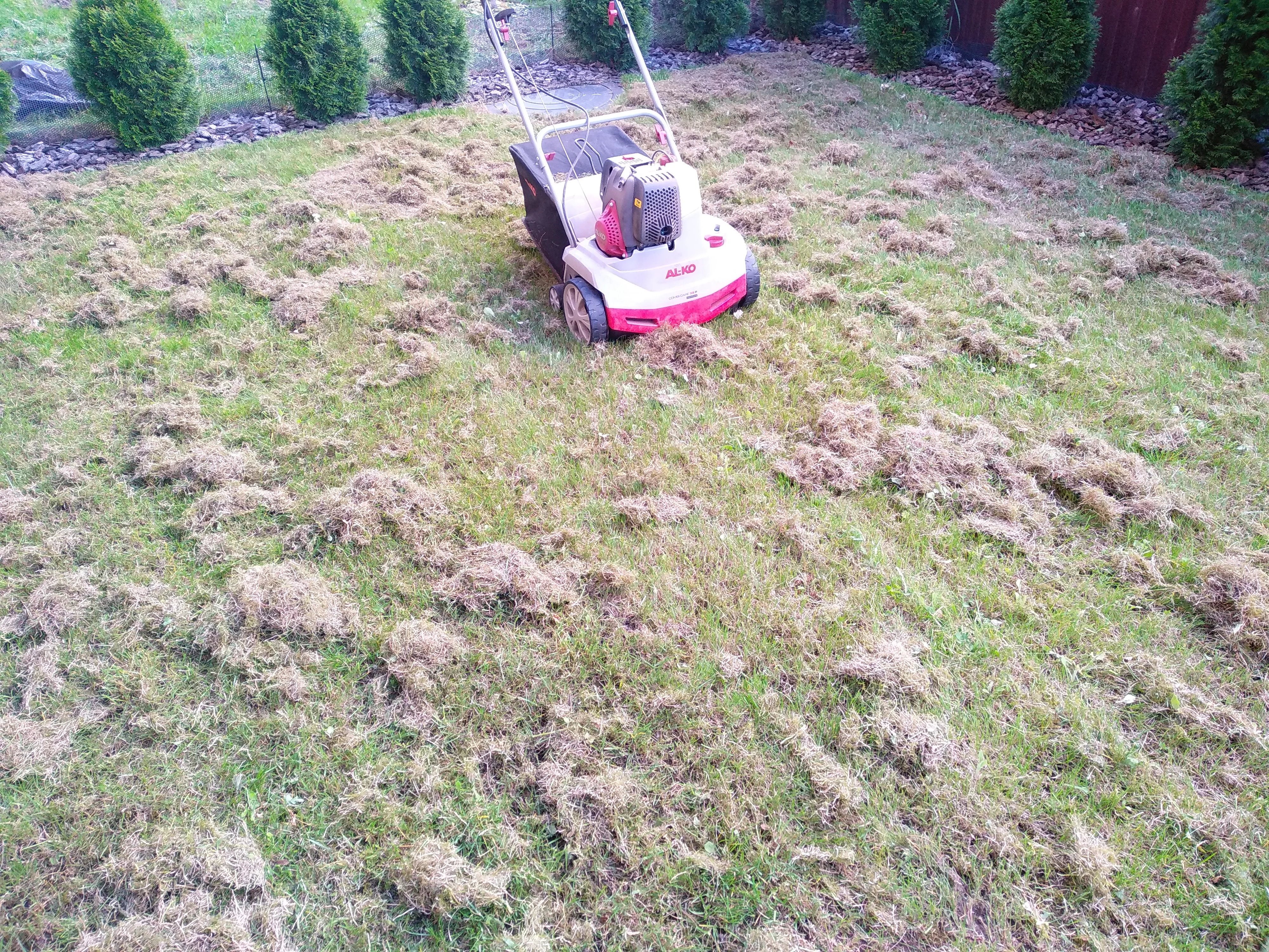 Скарифікація газону